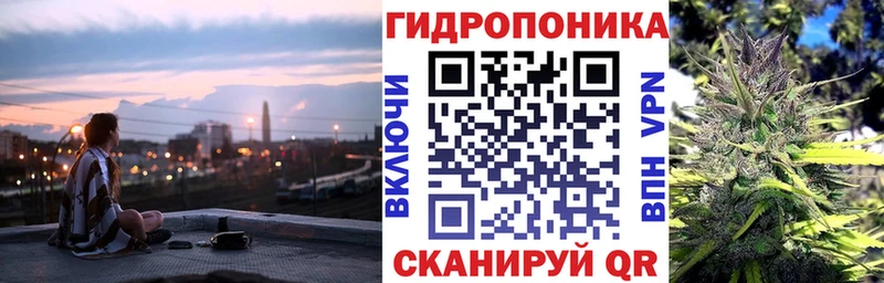 Бошки Шишки конопля Шлиссельбург